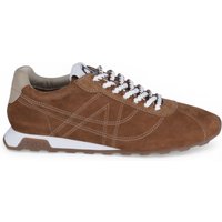 Ash 471259 Cammello
