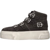 Ash Sneakers Grey