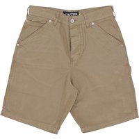 Carpenter Short Earth herenshort