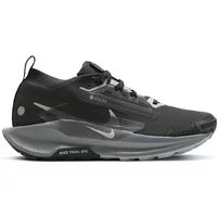 Damesschoenen Nike Pegasus 5 Gore-tex
