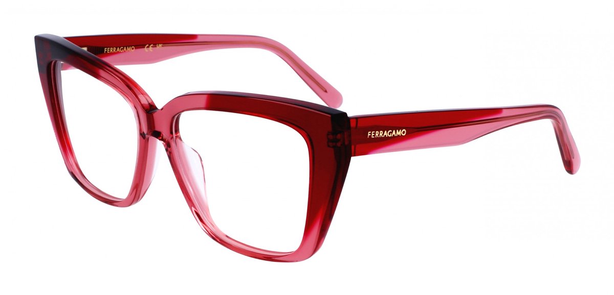 Ferragamo SF2939N Transparent burgundy/antique r 54/15/140 WOMAN Brilmonturen