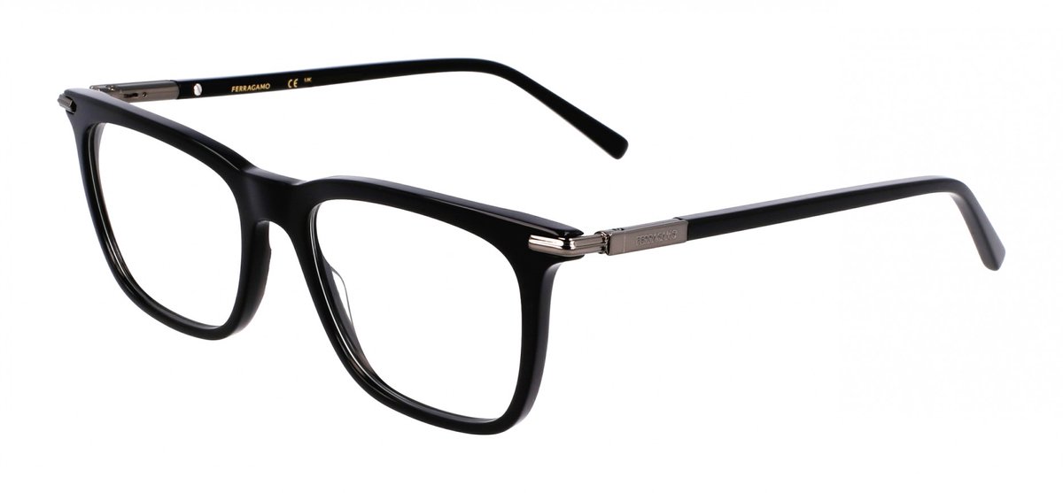 Ferragamo SF3007 Black 56/17/145 MAN Brilmonturen
