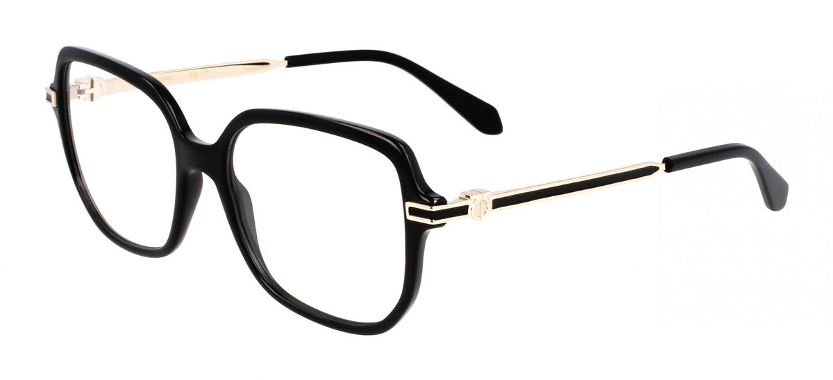 Ferragamo SF3012 Black 53/16/140 WOMAN Brilmonturen