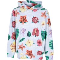 Herenhoodie Flourish Pullover Lichtblauw