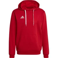 Hooded sweatshirt adidas Entrada 22