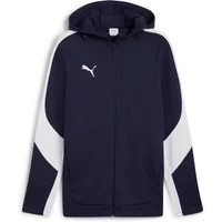 Hoodie Puma Team Evostripe