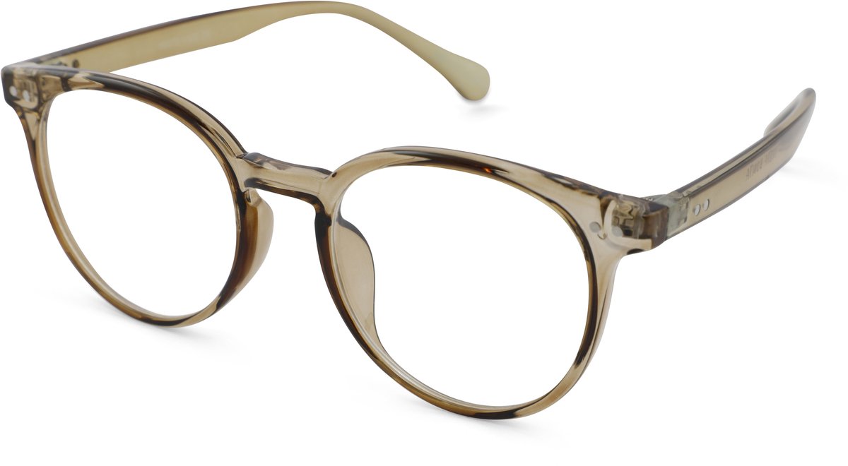 Leesbril met Blauwlichtfilter Vista Bonita Panto-Desert Brown-+2.50