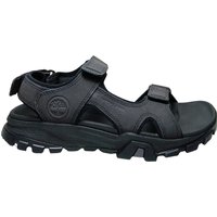 Mannenschoenen Timberland Lincoln Peak Backstrap Sandaal Jet Black