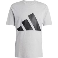 T-shirt van eenvoudige jersey adidas Essentials Big Logo